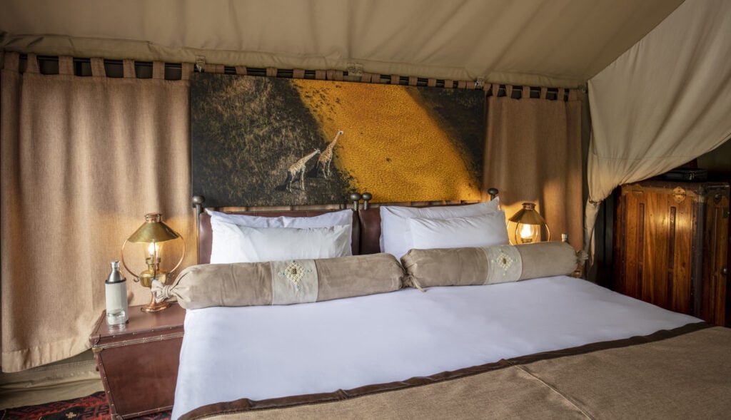 Wildlife-Prints of the Art for Conservation collection by Beverly Joubert
