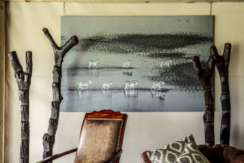 Wildlife-Prints of the Art for Conservation collection by Beverly Joubert 