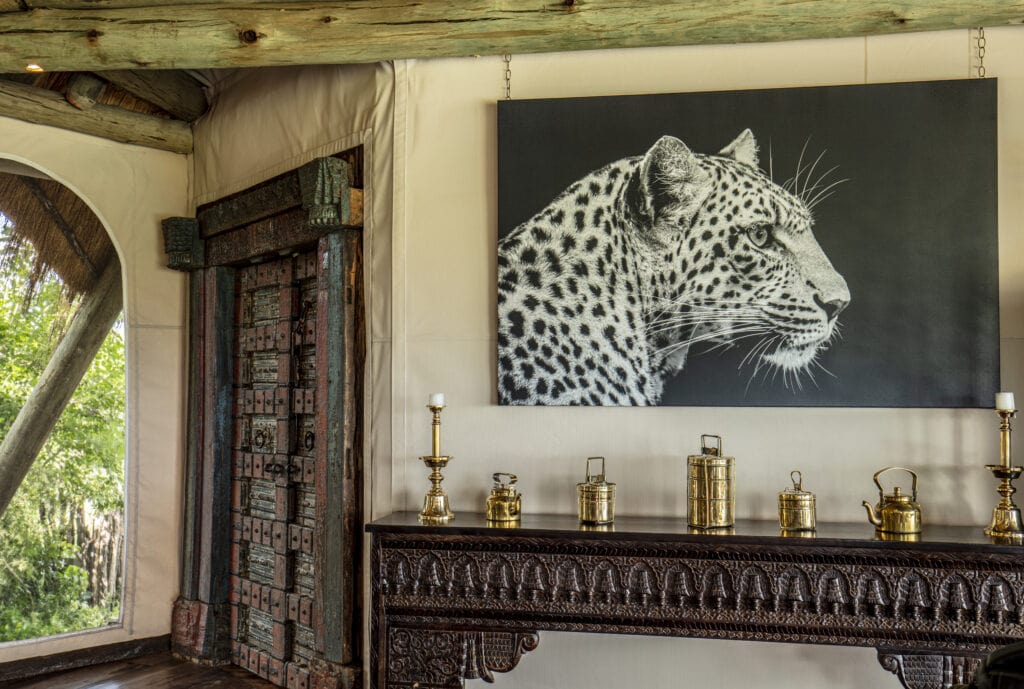 Wildlife-Prints of the Art for Conservation collection by Beverly Joubert 