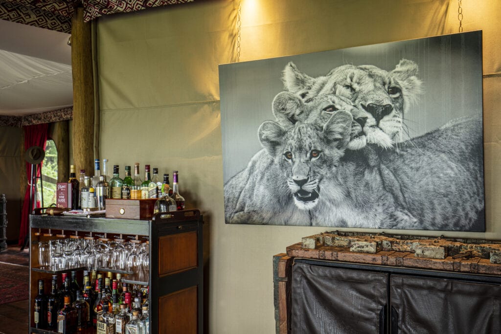 Wildlife-Prints of the Art for Conservation collection by Beverly Joubert