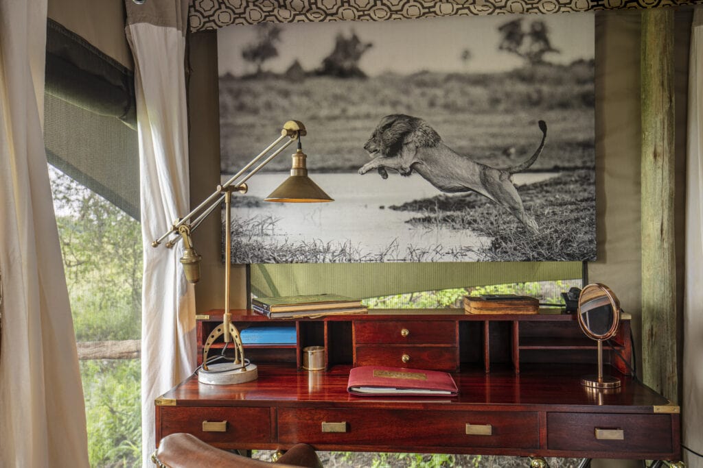 Wildlife-Prints of the Art for Conservation collection by Beverly Joubert