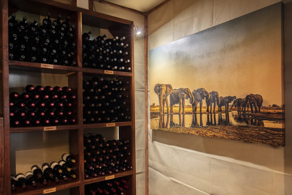 Wildlife-Prints of the Art for Conservation collection by Beverly Joubert