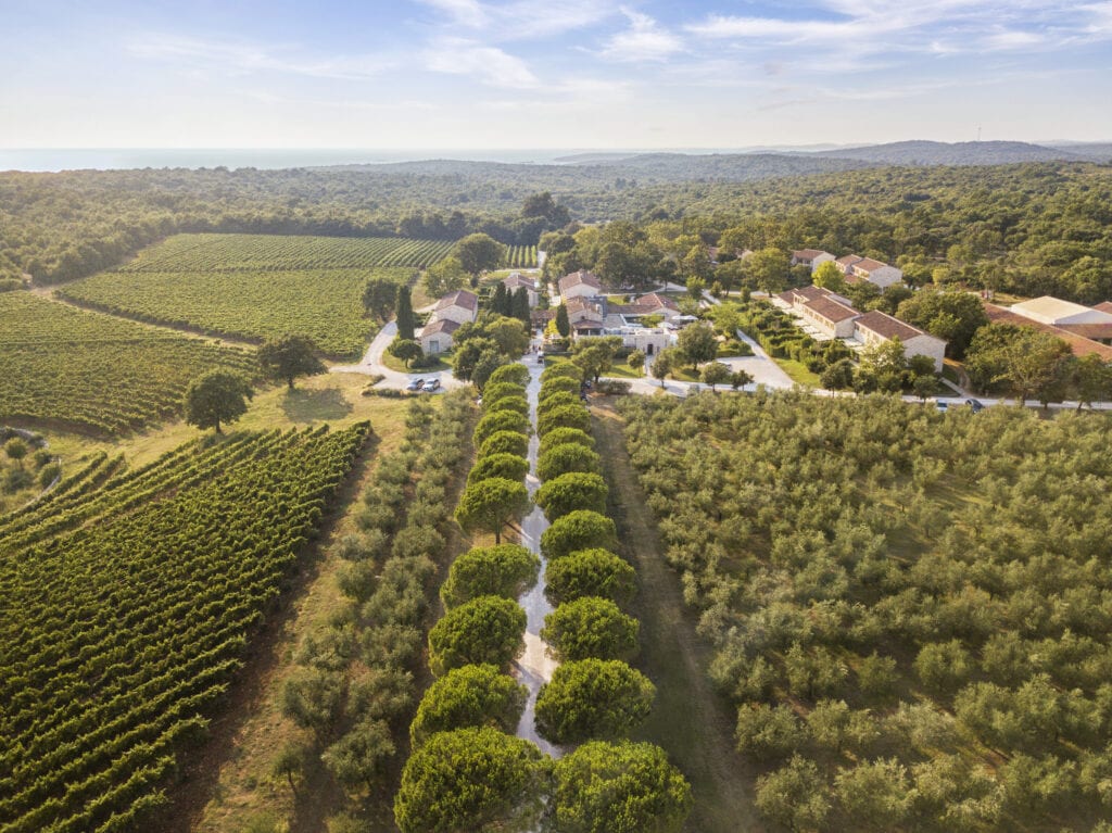 Mindful Traveller - winery