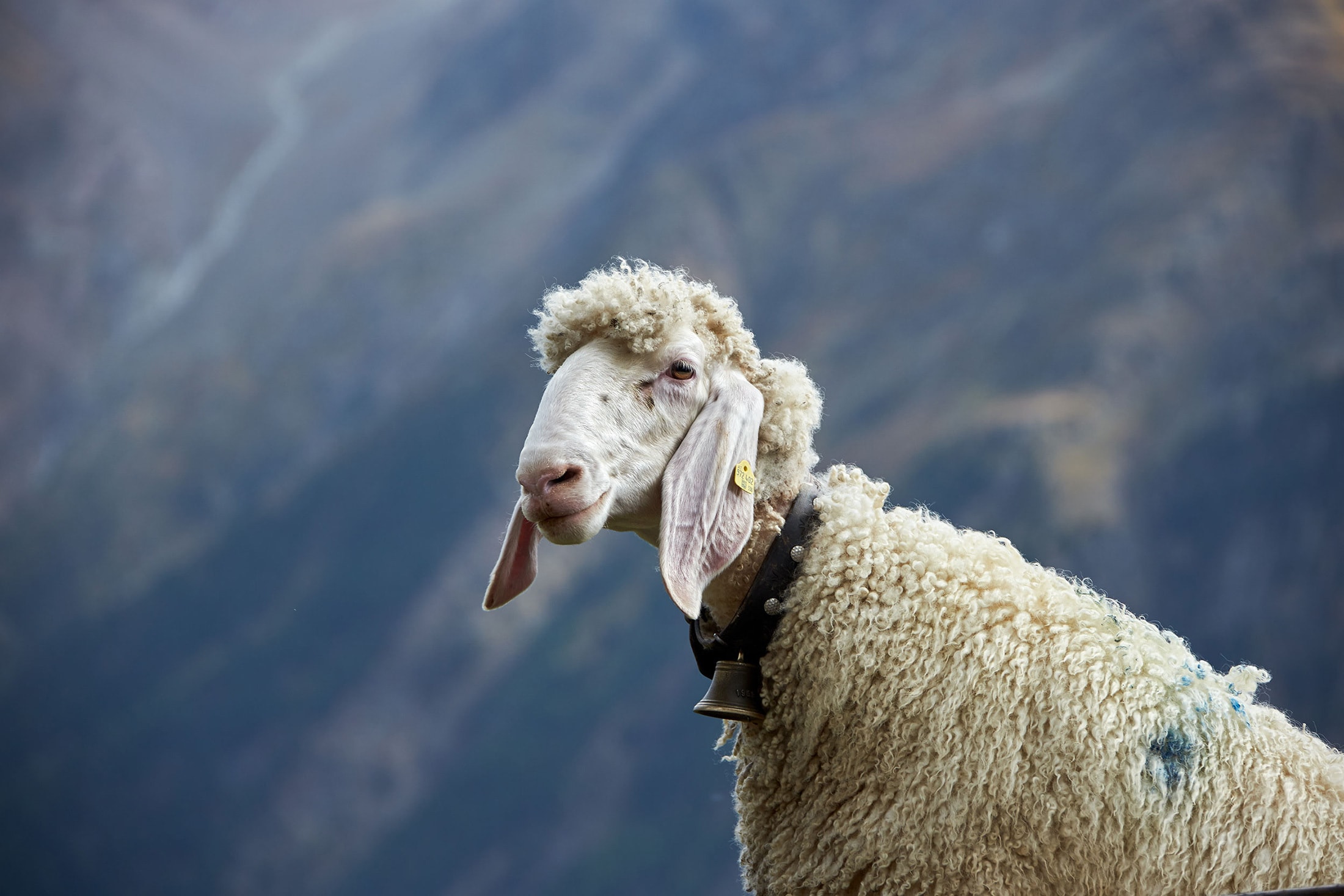 Bergland Sölden x Regional 200 A gourmet experience where greener