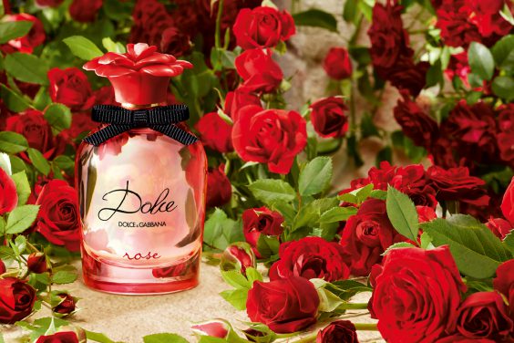 DOLCE&GABBANA: Dolce Rose - THE Stylemate