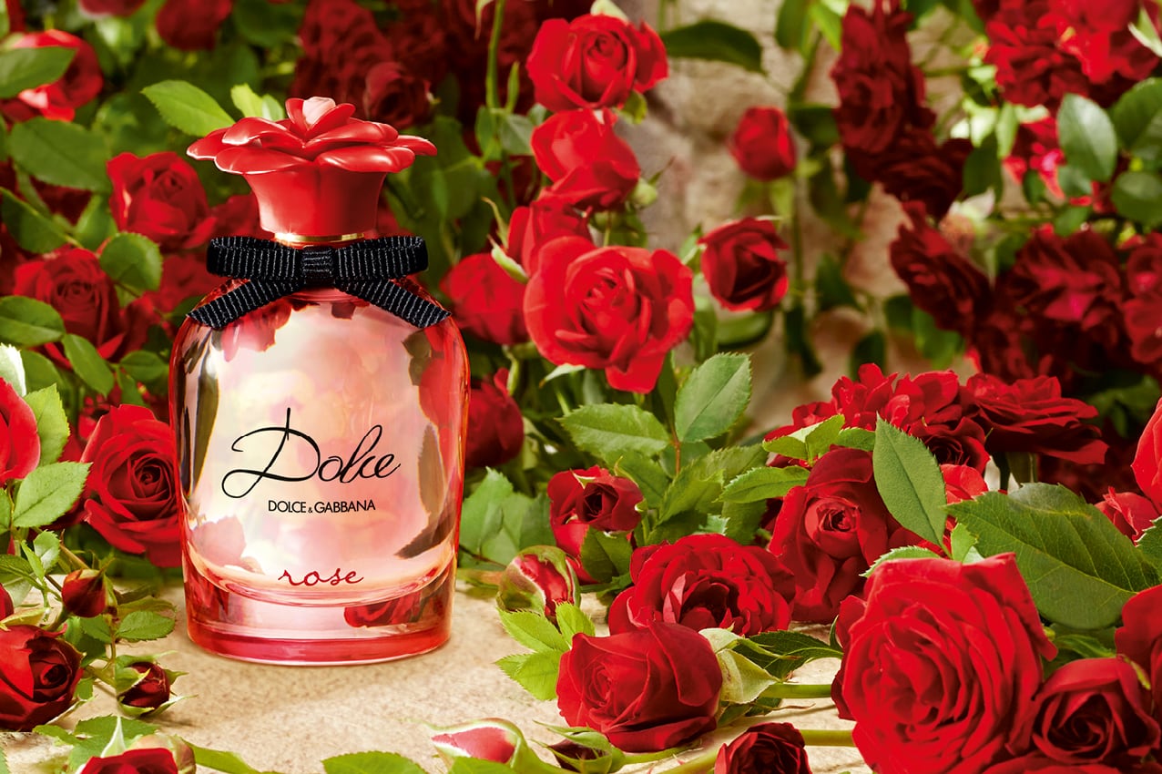 dolce gabbana rose garden