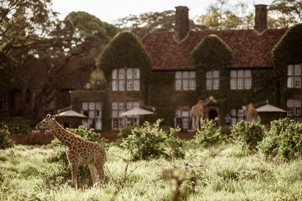 Giraffe Manor