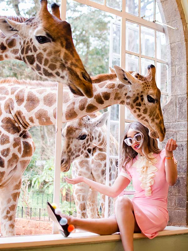 Giraffe Manor