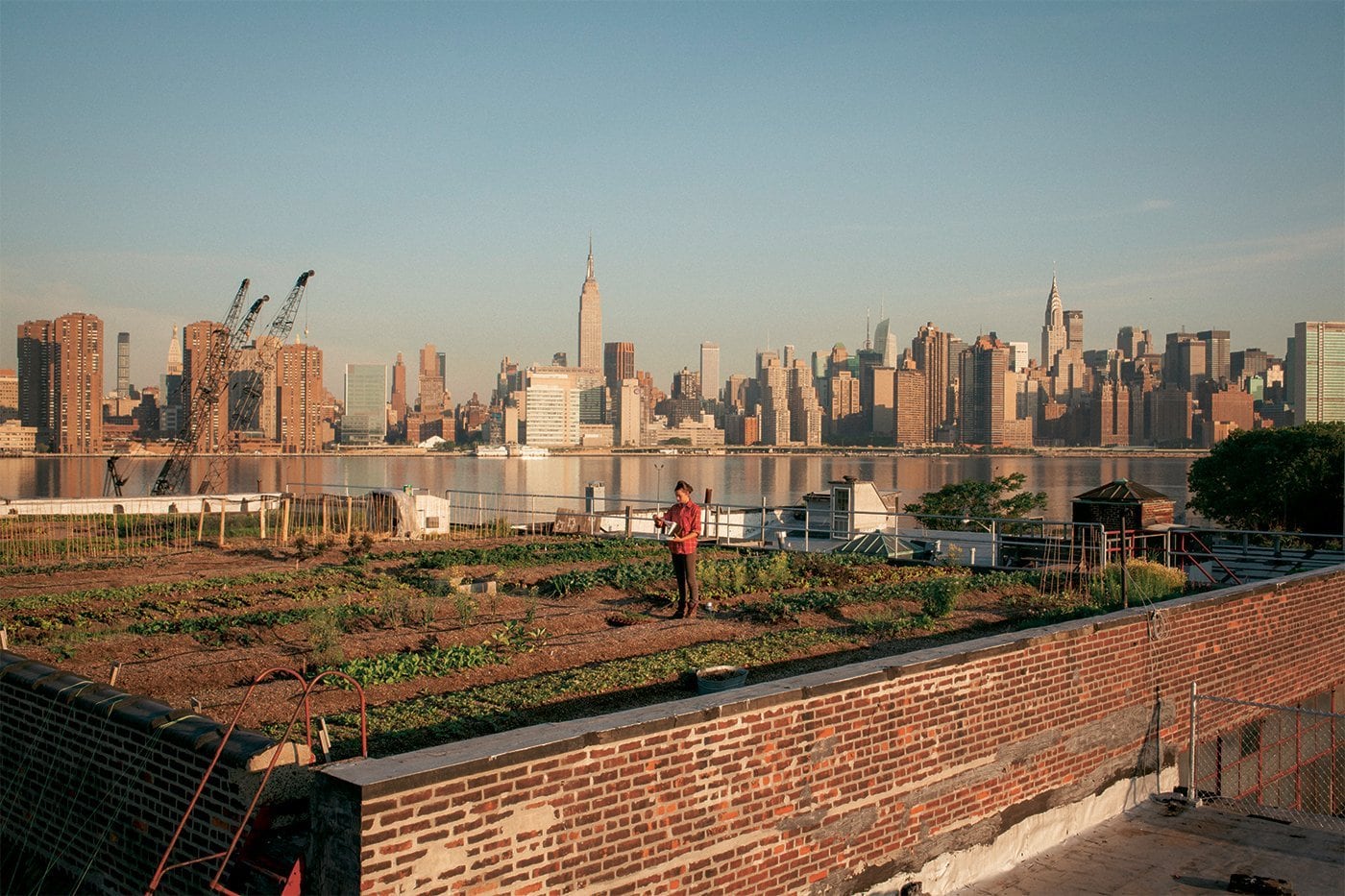DER GARTEN EDEN by Die Gestalten // BOOK THE Stylemate