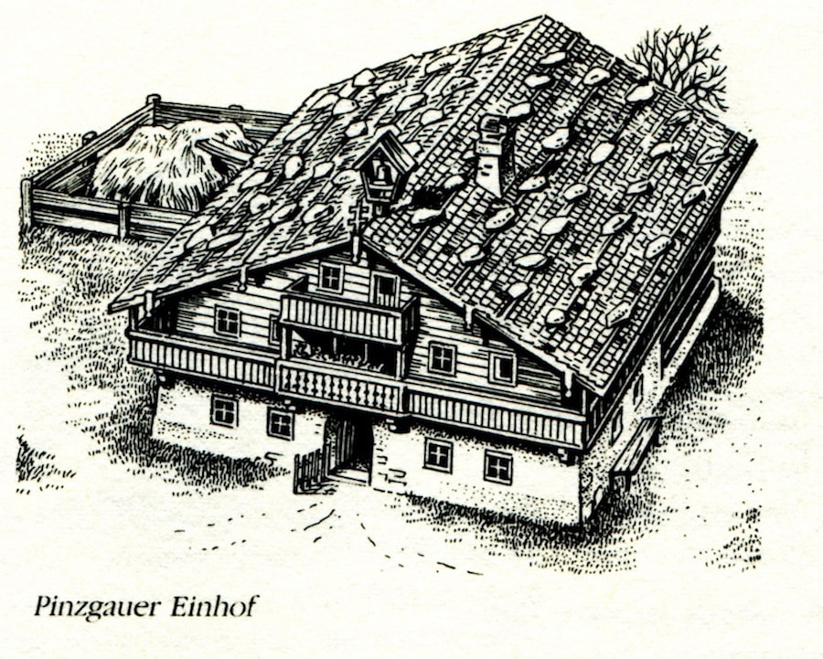 Pinzgauer Einhof