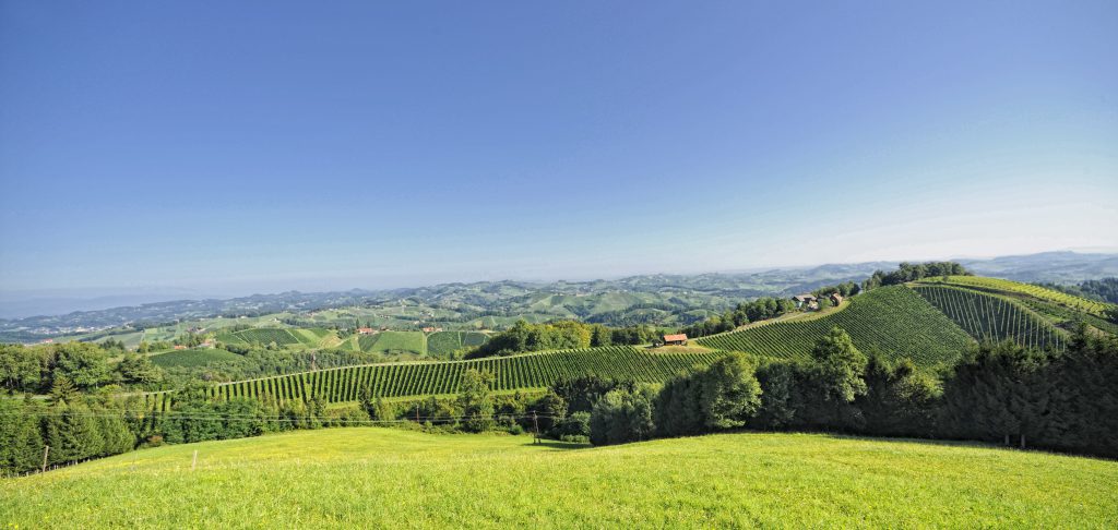 Pössnitzberg, Foto: Weingut Erwin Sabathi