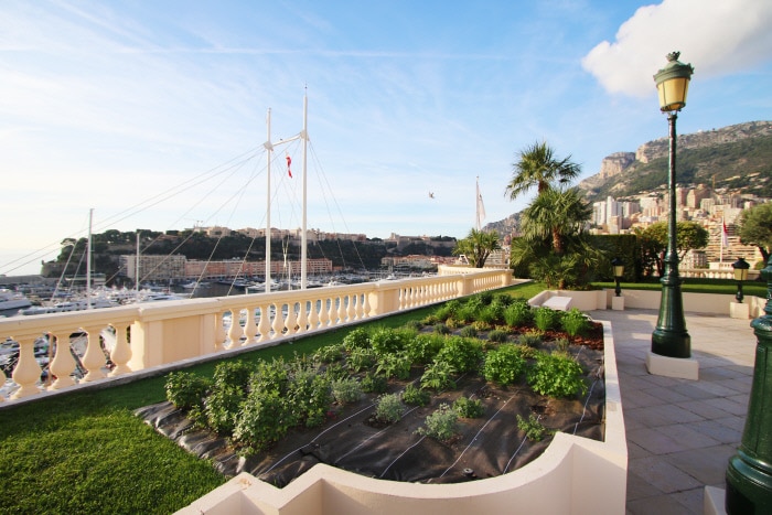 Monte-Carlo Société des Bains de Mer