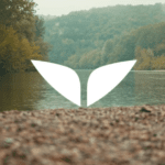 Meditation