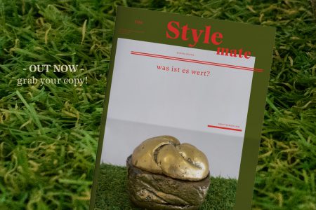 The Stylemate - was ist es wert?