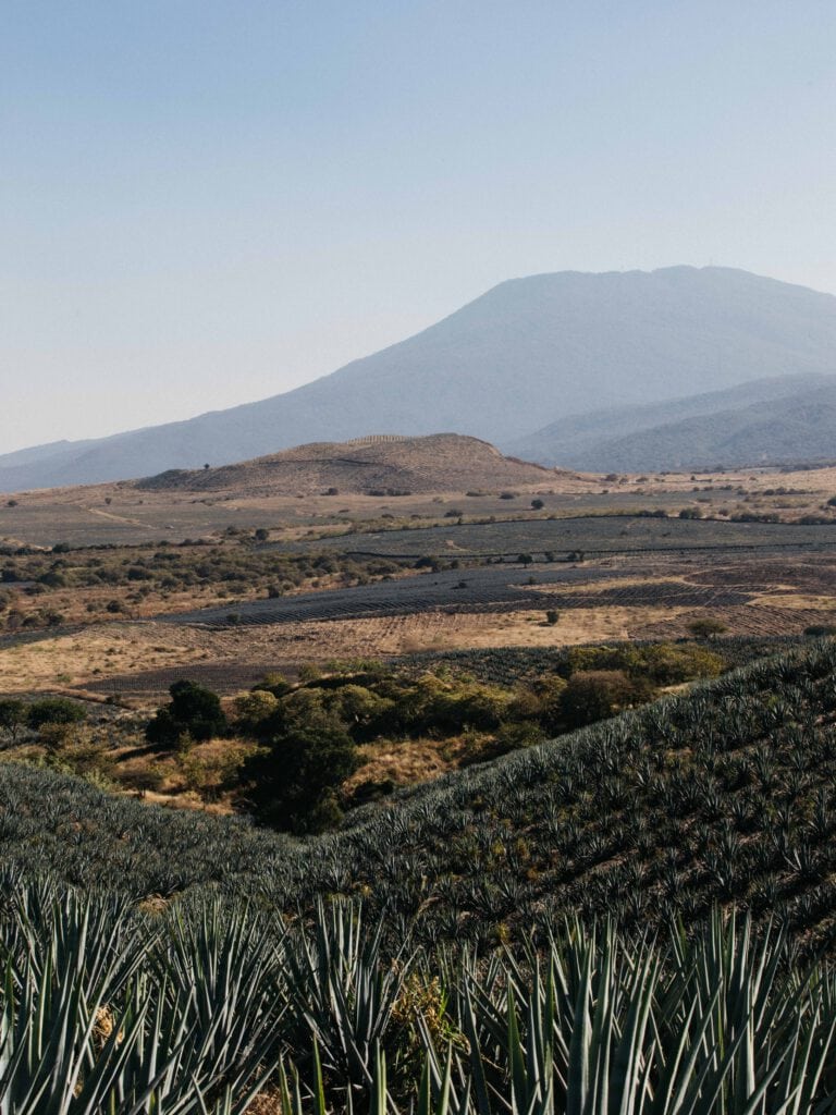 Volcán de mi Tierra Tequila