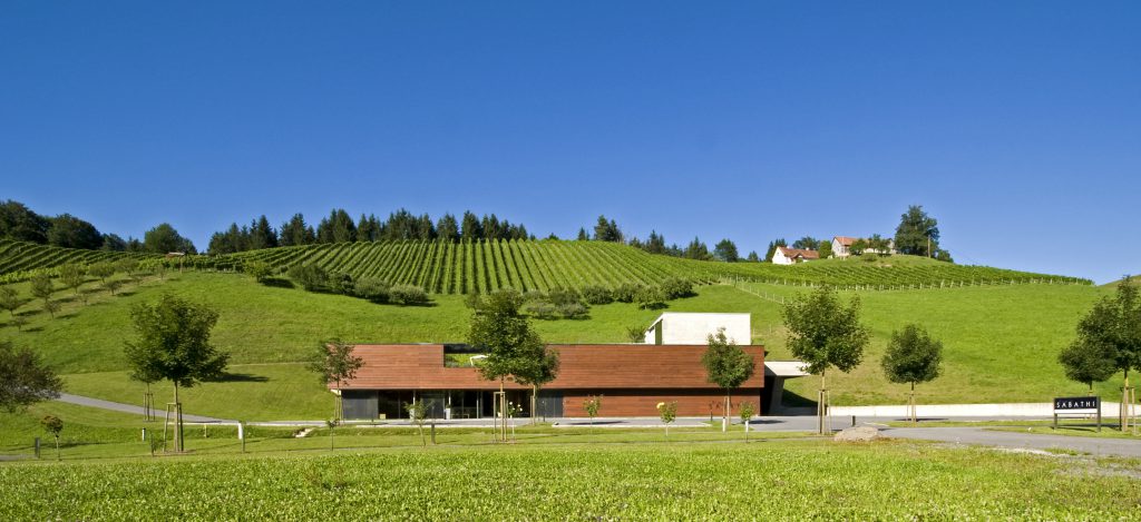 Weinkeller von Igor Skacel, Foto: Weingut Erwin Sabathi