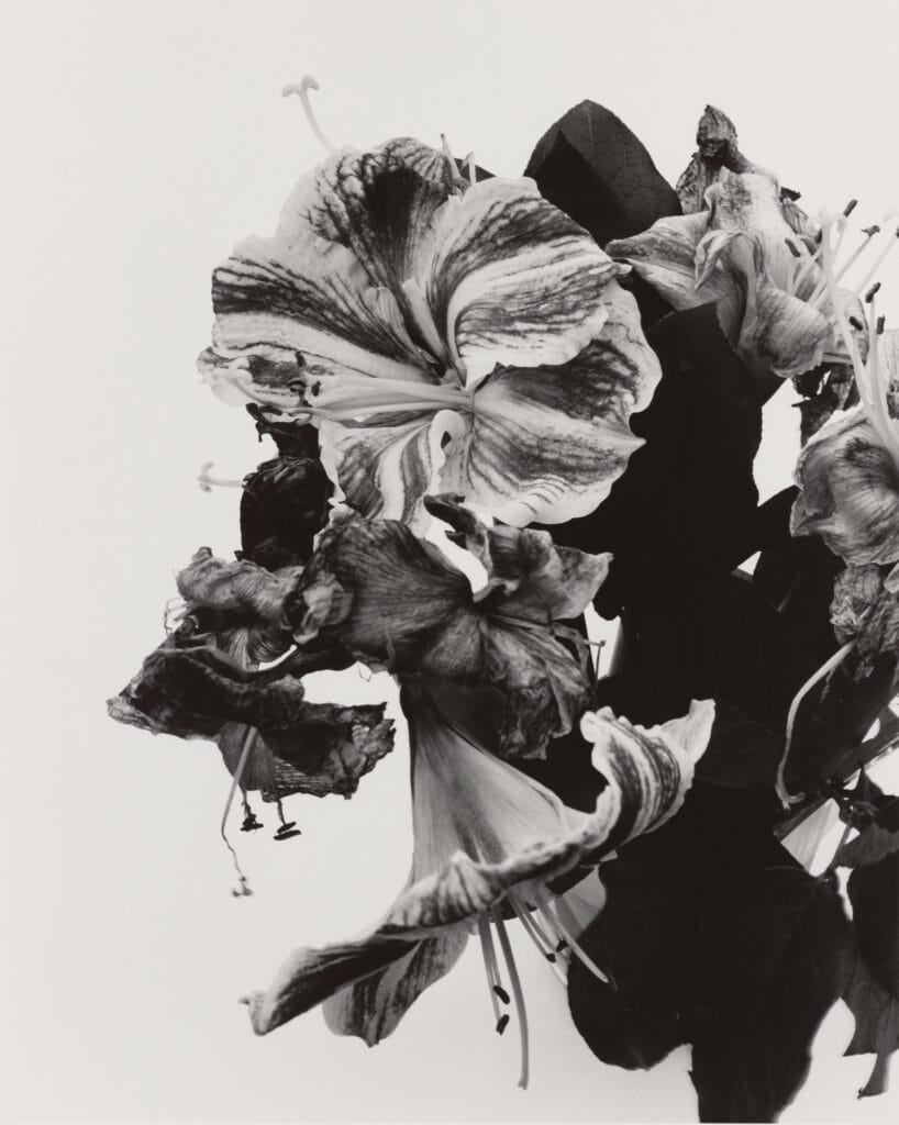 Nobuyoshi Araki
Laments, 1990-1996
Silbergelatineabzug
ALBERTINA, Wien – The JABLONKA Collection © Nobuyoshi Araki