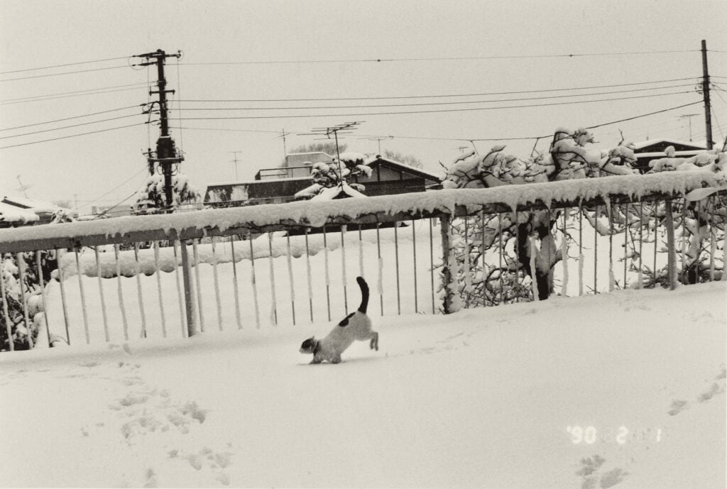 Nobuyoshi Araki
Sentimental journey : Winter Journey, 1.2.1990
ALBERTINA, Wien – The JABLONKA Collection © Nobuyoshi Araki