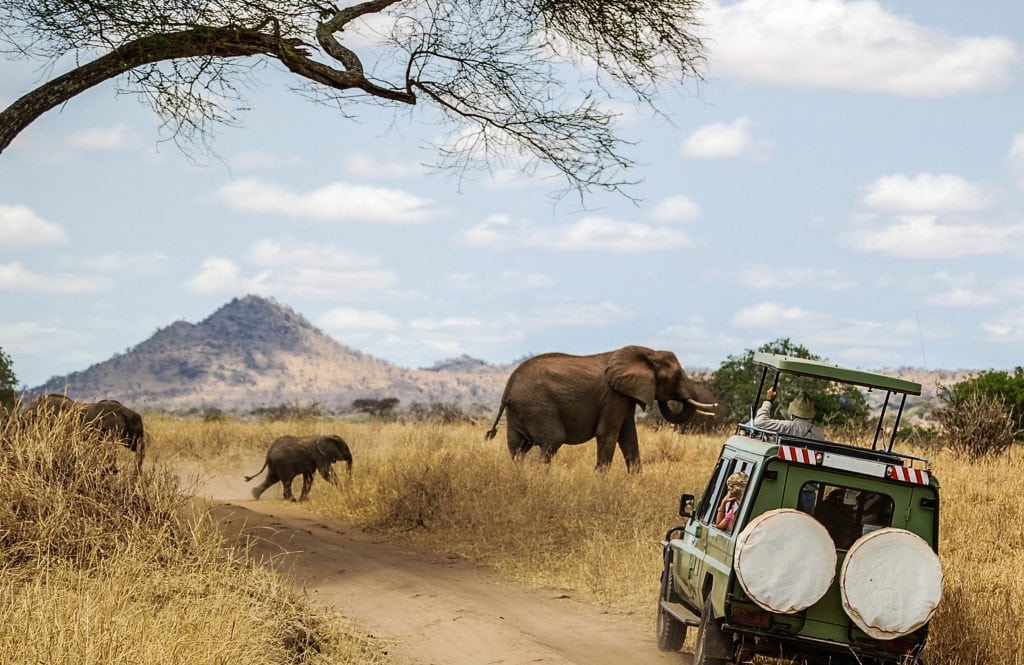 Abenteuer Safari, Foto by Shutterstock