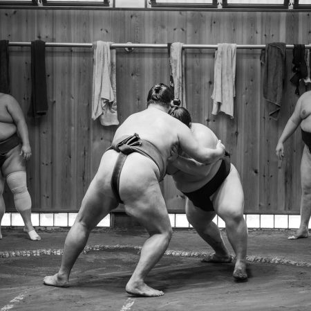 sumo