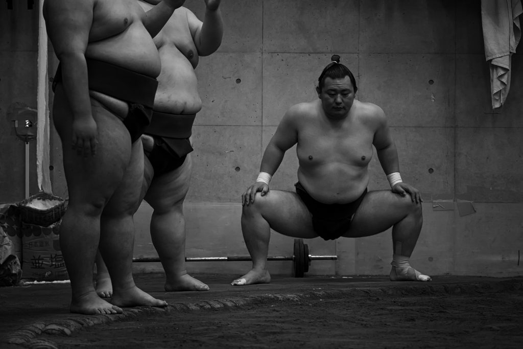 sumo